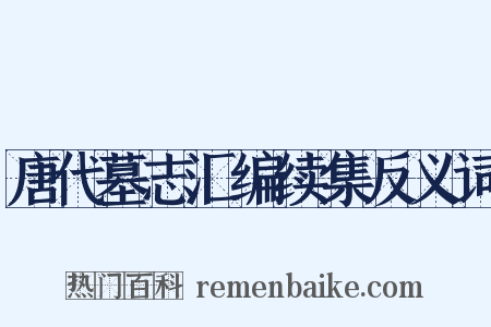 唐代墓志汇编续集反义词是什么意思的图片